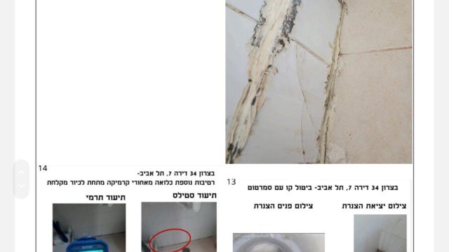 6af55772 8fc0 42fb b505 ce809b09479c