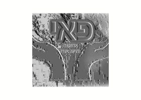 תמונת פרופיל ב יצאת גדול (40)