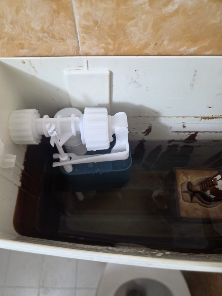 C2cbd88a 7a4f 4725 b544 2daae248e18f