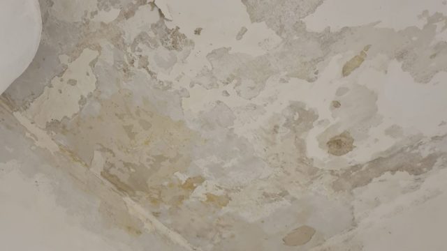 07cede25 d2e9 425c 9959 9401f0696517