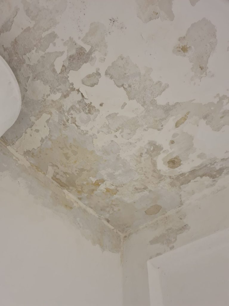 07cede25 d2e9 425c 9959 9401f0696517