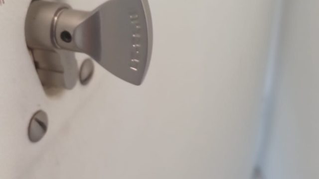 13da51a1 ec7f 488d a675 e3d117a2035d