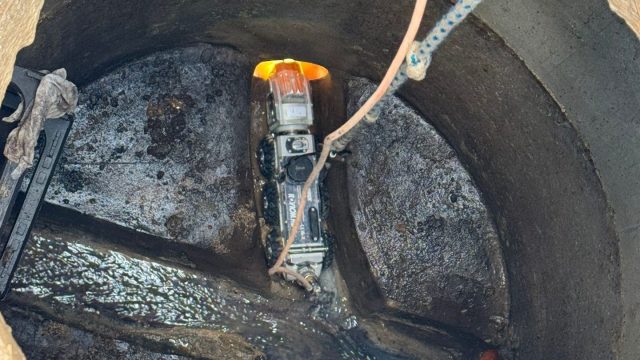 1cd83536 3944 446e a781 8ba7c40b10f8