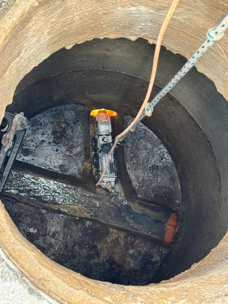 1cd83536 3944 446e a781 8ba7c40b10f8