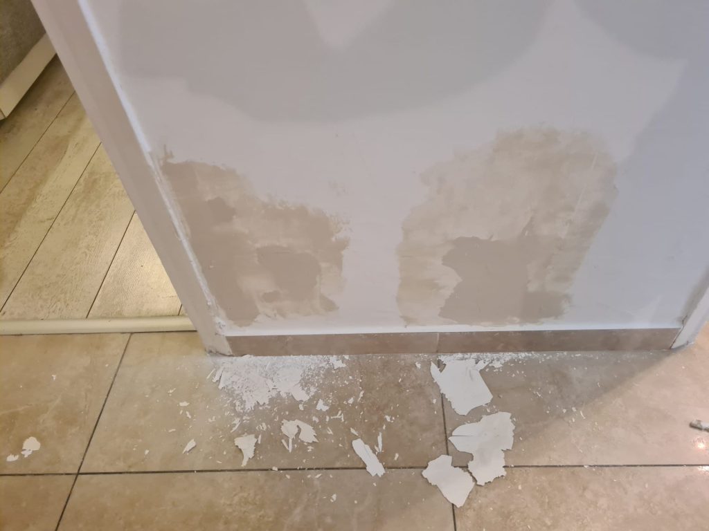 1fddbf43 3258 49ed be63 462606531b4a