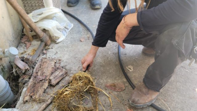 2a582247 82b2 433a ad32 a605430a3f6a