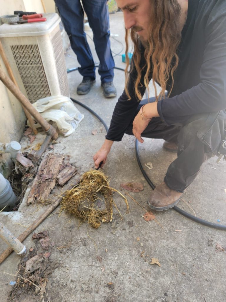 2a582247 82b2 433a ad32 a605430a3f6a