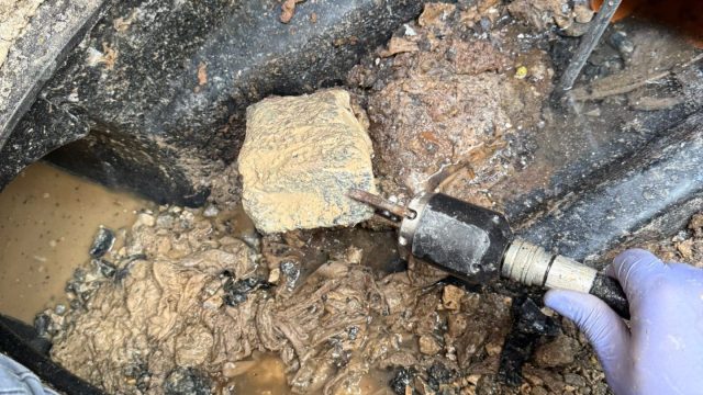 383b2731 ed5e 4c08 88f7 aae7358ddc11