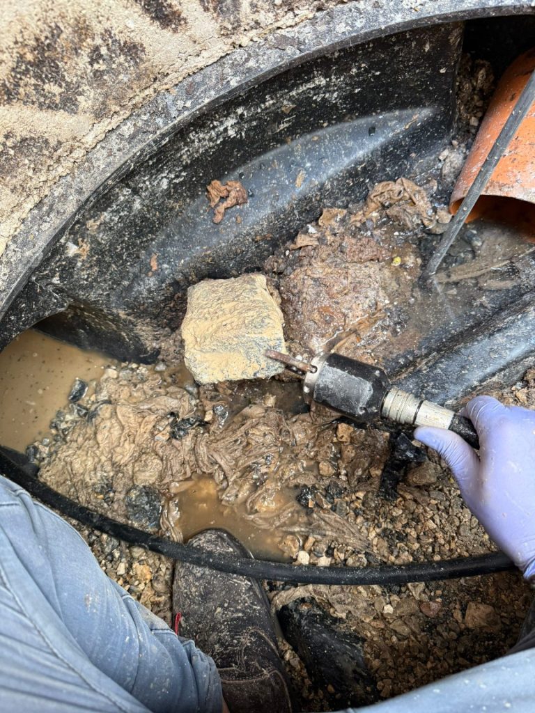 383b2731 ed5e 4c08 88f7 aae7358ddc11