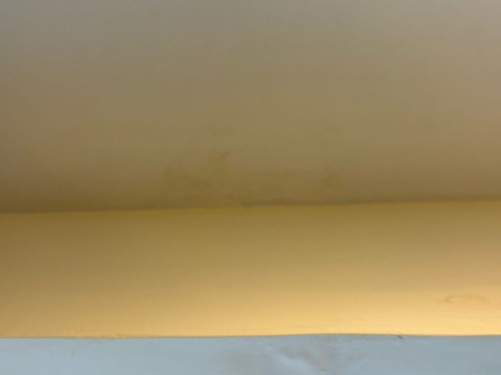 4464f016 8972 4698 8fd3 ad2e0f4f0508