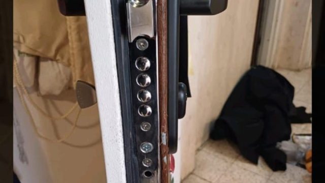 5abcc206 2483 4ed3 9dc7 4419a1829a77