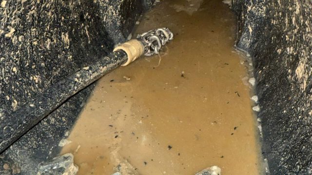 60364207 7121 4186 a3b1 aa86f7b78e82