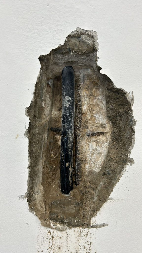 73b6f41c 3036 41e6 bb7e b0d26241f853