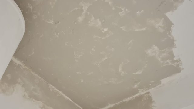 B23bd77d 5da2 49f2 b75c c37fb2286746