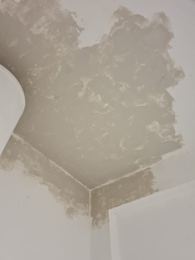 B23bd77d 5da2 49f2 b75c c37fb2286746