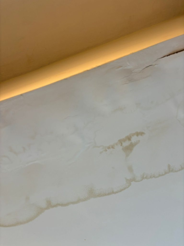 C1739e5a 2aae 4343 ba03 dbd8fd0b488e