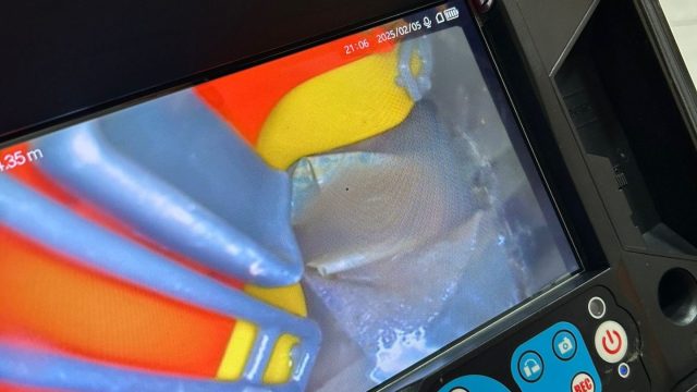 C3ed87f5 786a 4358 8a73 edf92af8d450