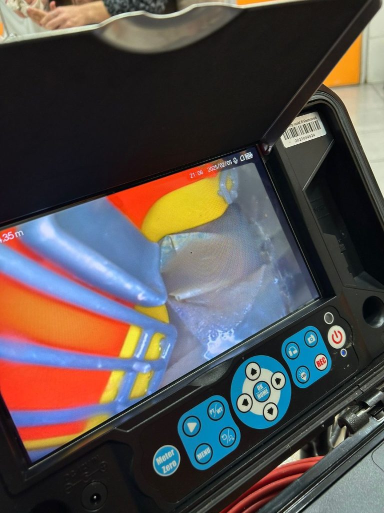 C3ed87f5 786a 4358 8a73 edf92af8d450