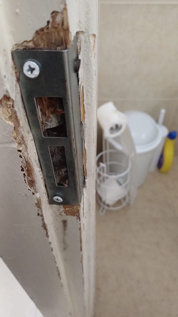 C7b95354 9b5c 4873 ad13 d79f67a8f3eb