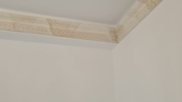 C8e387bd ad1c 4136 965b 83eefcd30d25