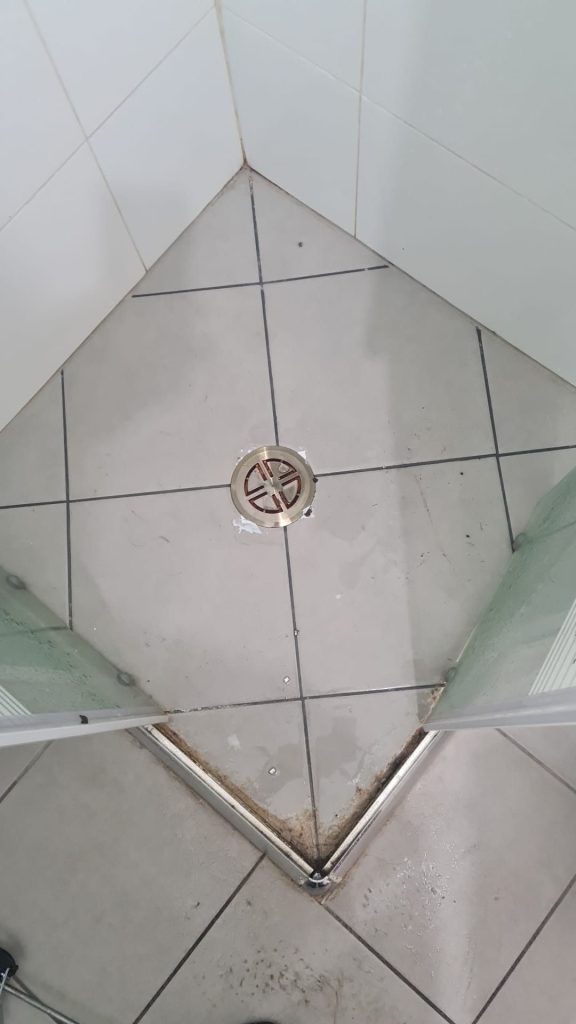 Ccd52b5a 4933 4fef a637 b77891f2e1e4