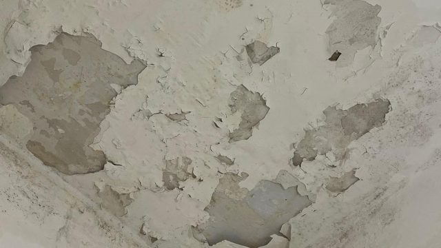 D4395f24 b4ea 4b61 aeca 1aa799be7320