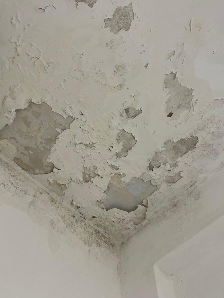 D4395f24 b4ea 4b61 aeca 1aa799be7320