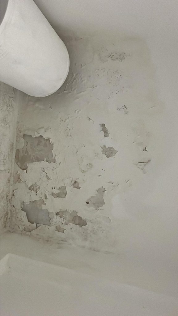 Feaff9ee 7a57 43ac b304 c0691bf921c1