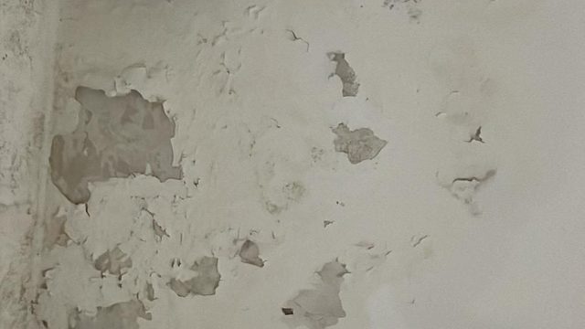 Feaff9ee 7a57 43ac b304 c0691bf921c1