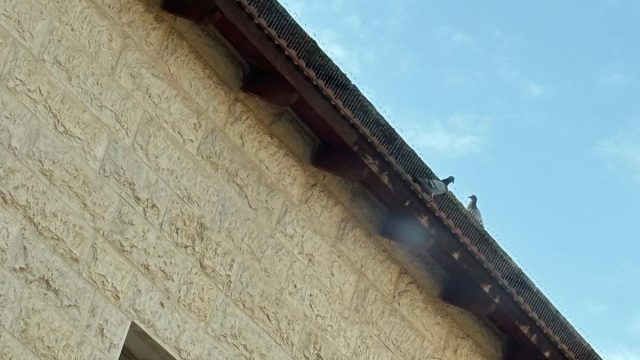 52acd81d 0536 411a 8175 2bc2de032a4b