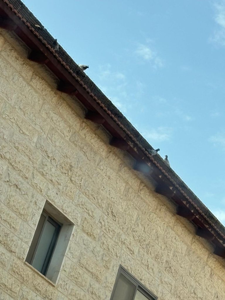 52acd81d 0536 411a 8175 2bc2de032a4b