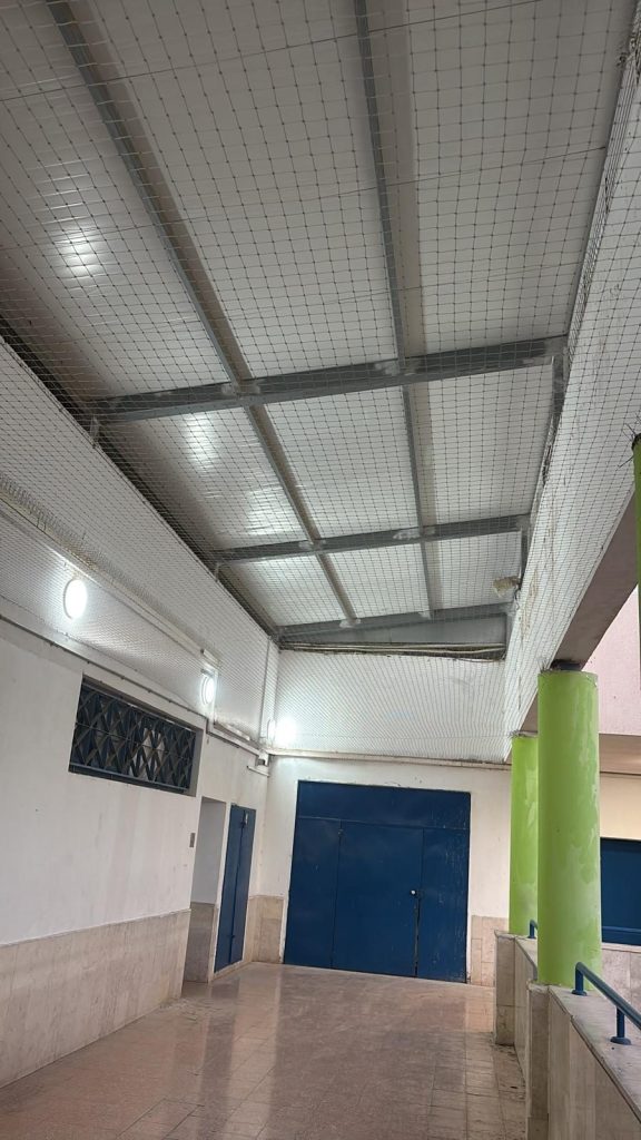 97058bc2 e345 4dda 8b4f f87f9410c6c4