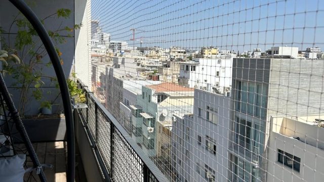 C0e38513 e279 4057 8aa4 77d2c624eb1a